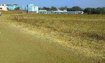  Residential Plot for Sale in Ambala Highway, Zirakpur