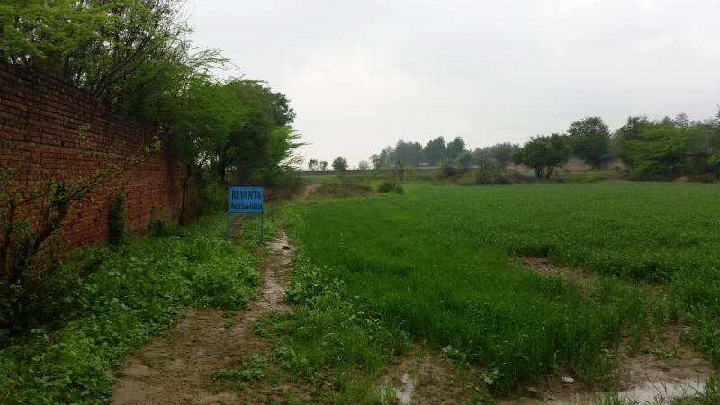 Residential Plot 93 Sq. Yards for Sale in