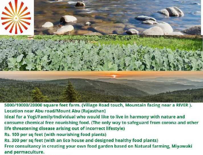1 RK Farm House 78000 Sq.ft. for Sale in Abu Road, Sirohi
