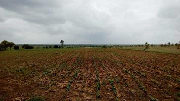  Agricultural Land for Sale in Lohara, Osmanabad