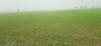  Agricultural Land for Sale in Mussoorie Gulawathi Rd, Ghaziabad