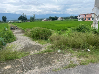  Agricultural Land for Sale in Paonta Sahib, Sirmour
