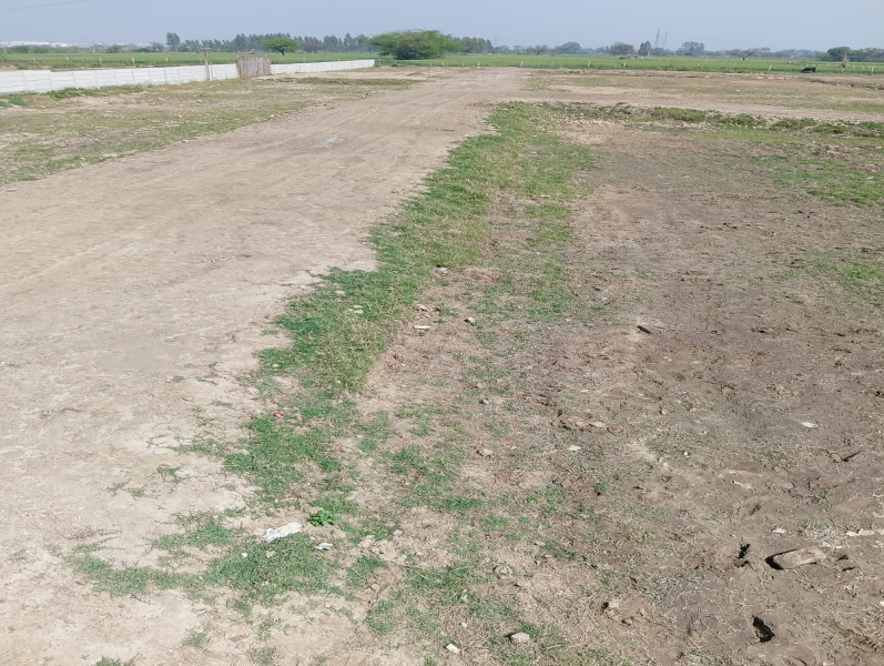  Residential Plot 100 Sq. Yards for Sale in NH-2, Vrindavan