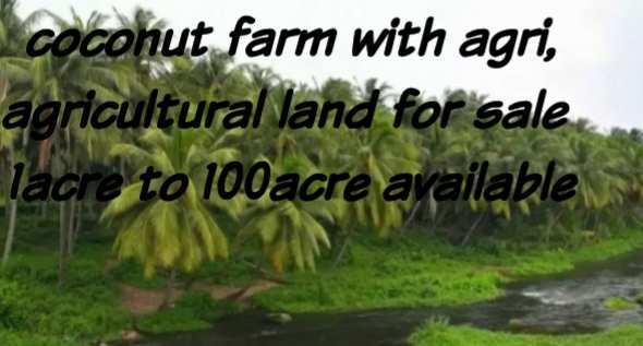 Agricultural Land 1 Acre for Sale in Palladam, Coimbatore