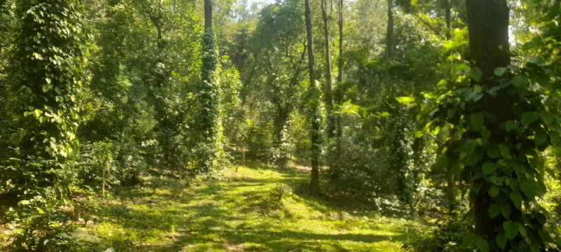 1 BHK 143 Sq.ft. Farm House for Sale in Kodaikanal Ghat Road