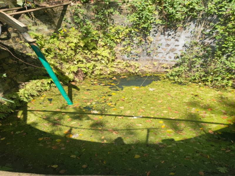 1 BHK 143 Sq.ft. Farm House for Sale in Kodaikanal Ghat Road