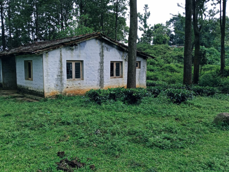  525 Acre Agricultural/Farm Land for Sale in Kotagiri, Ooty