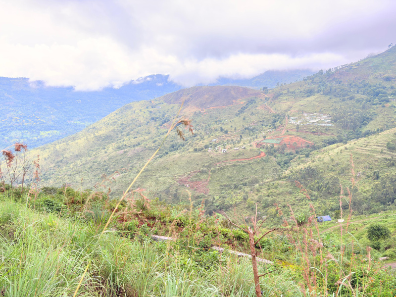 1 RK 53 Cent Farm House for Sale in Vilpatti, Kodaikanal