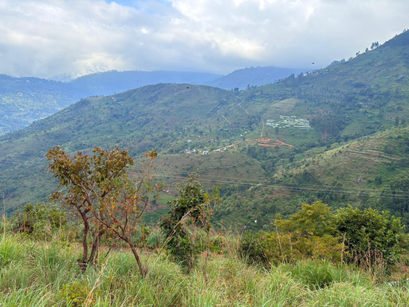 1 RK 53 Cent Farm House for Sale in Vilpatti, Kodaikanal