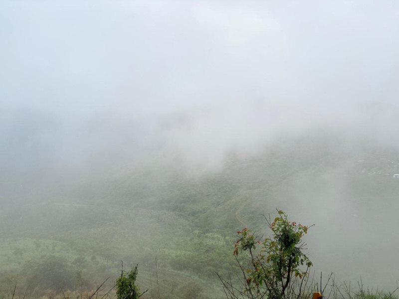  83 Cent Agricultural/Farm Land for Sale in Vilpatti, Kodaikanal