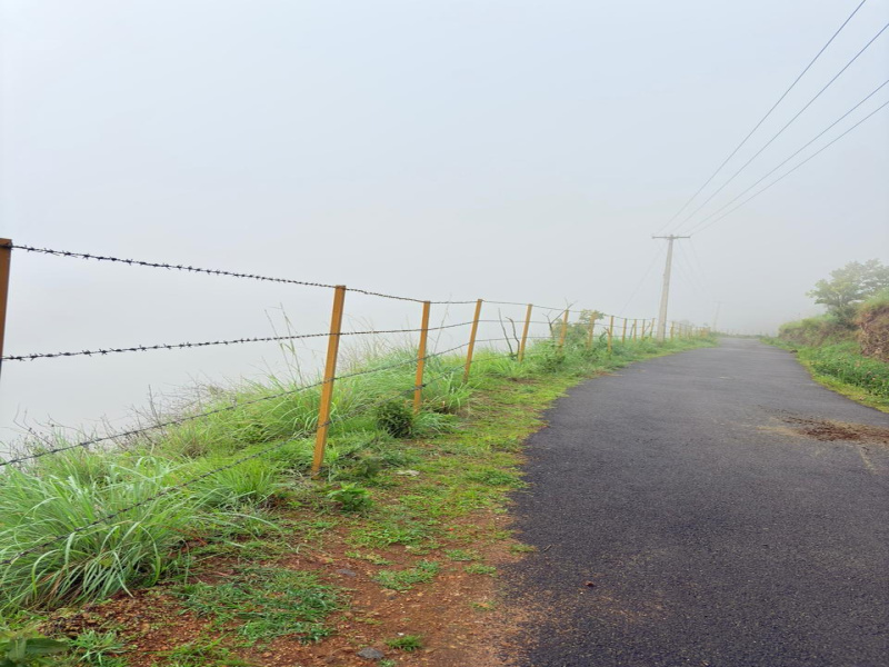  83 Cent Agricultural/Farm Land for Sale in Vilpatti, Kodaikanal