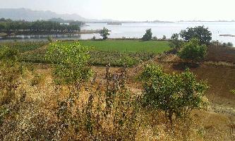  Agricultural Land for Sale in Trimbak, Nashik