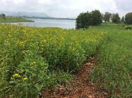  Agricultural Land for Sale in Trimbak, Nashik