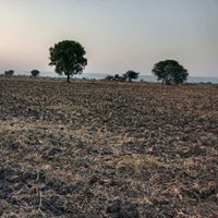  Agricultural Land for Sale in bambori village, Bundi, Bundi