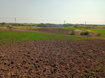  Agricultural Land for Sale in Lakheri, Bundi