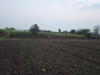  Agricultural Land for Sale in Hindoli, Bundi