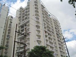 2 BHK Builder Floor for Sale in Sector 50 Noida
