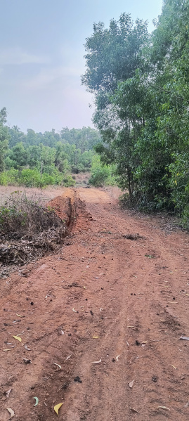  Agricultural Land 40000 Sq. Meter for Sale in Sawantwadi, Sindhudurg