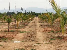  Agricultural Land for Sale in Renigunta, Tirupati