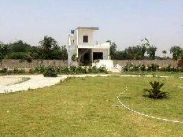  Residential Plot for Sale in Dhandhran Road, Ludhiana