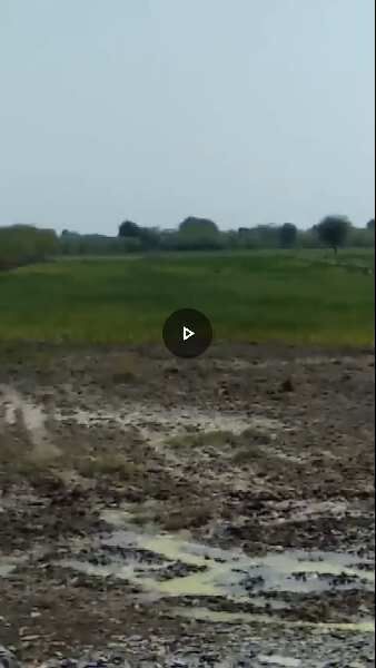  Agricultural Land 63 Bigha for Sale in Kankroli, Rajsamand