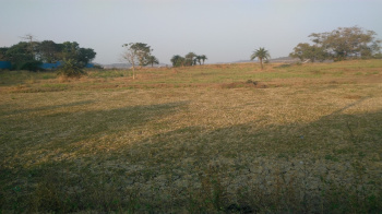  Industrial Land for Sale in Sarigam, Vapi