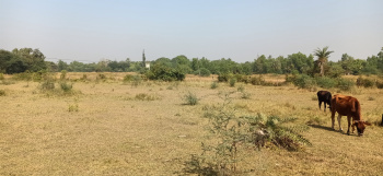  Industrial Land for Sale in Umbergaon, Valsad