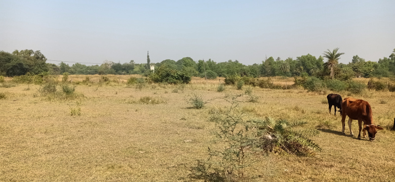  Industrial Land 27 Acre for Sale in Umbergaon, Valsad