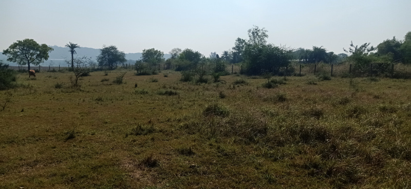  Industrial Land 16 Acre for Sale in Sarigam, Vapi