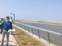  4840 Sq. Yards Commercial Land for Sale in Dholera, Ahmedabad