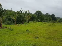  55 Guntha Agricultural/Farm Land for Sale in Kolad, Raigad
