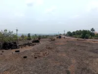 36 Acre Agricultural/Farm Land for Sale in Devgad, Sindhudurg