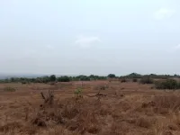  36 Acre Agricultural/Farm Land for Sale in Devgad, Sindhudurg