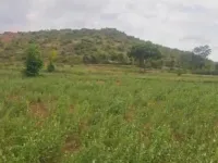  10 Acre Agricultural/Farm Land for Sale in Austin Town, Bangalore