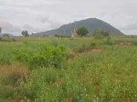  10 Acre Agricultural/Farm Land for Sale in Austin Town, Bangalore