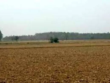  3 Acre Industrial Land for Sale in G. T. Road, Ludhiana