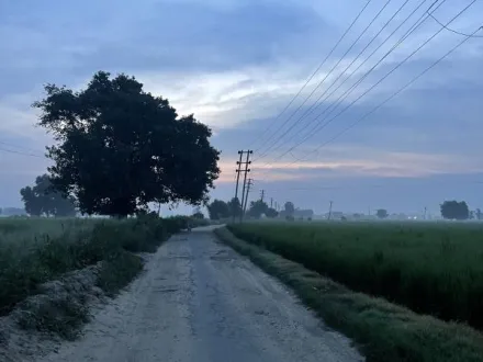  5 Acre Agricultural/Farm Land for Sale in Lalton Kalan, Ludhiana