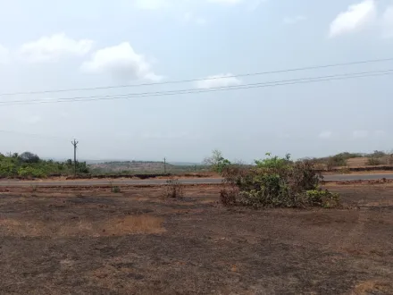  36 Acre Agricultural/Farm Land for Sale in Devgad, Sindhudurg