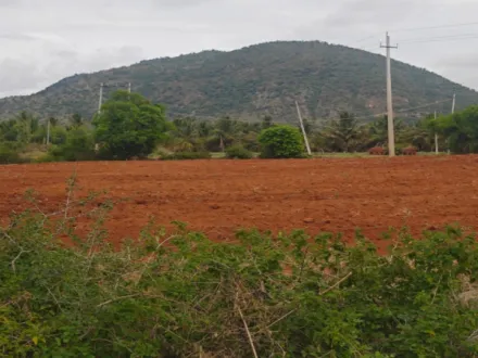  10 Acre Agricultural/Farm Land for Sale in Austin Town, Bangalore