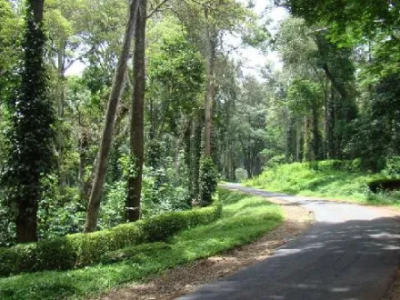  5 Acre Agricultural/Farm Land for Sale in Kushalnagar, Kodagu
