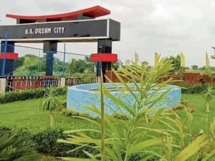  50 Acre Residential Plot for Sale in Chirahula Colony, Rewa