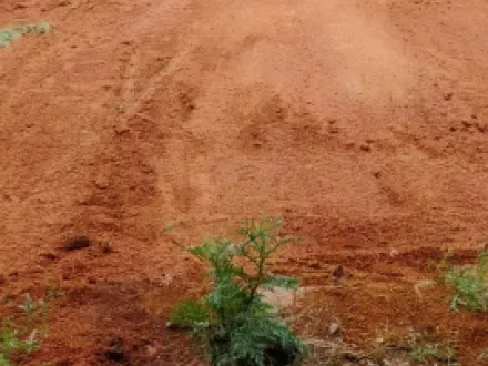  1650 Sq.ft. Residential Plot for Sale in Rajam, Srikakulam