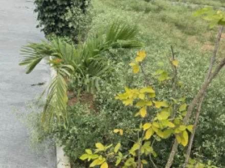 Adibatla, Hyderabad